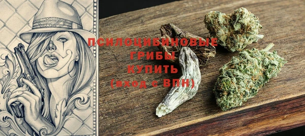 ГАЛЛЮЦИНОГЕННЫЕ ГРИБЫ Богородицк