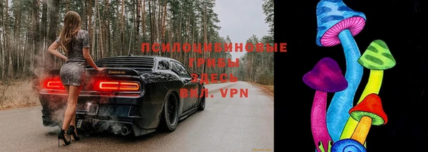 кокаин Богданович