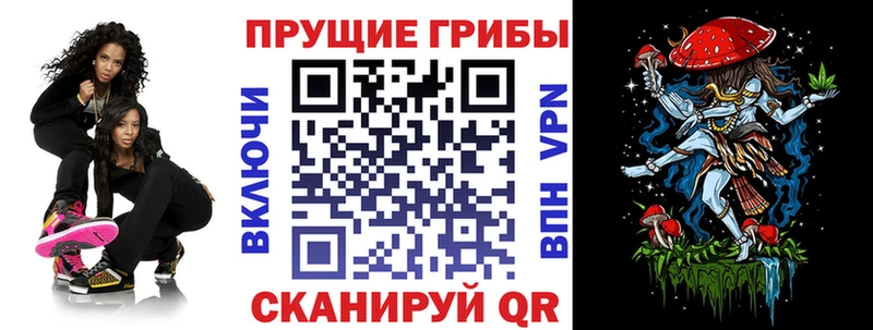 закладки  Добрянка  Галлюциногенные грибы Psilocybine cubensis 